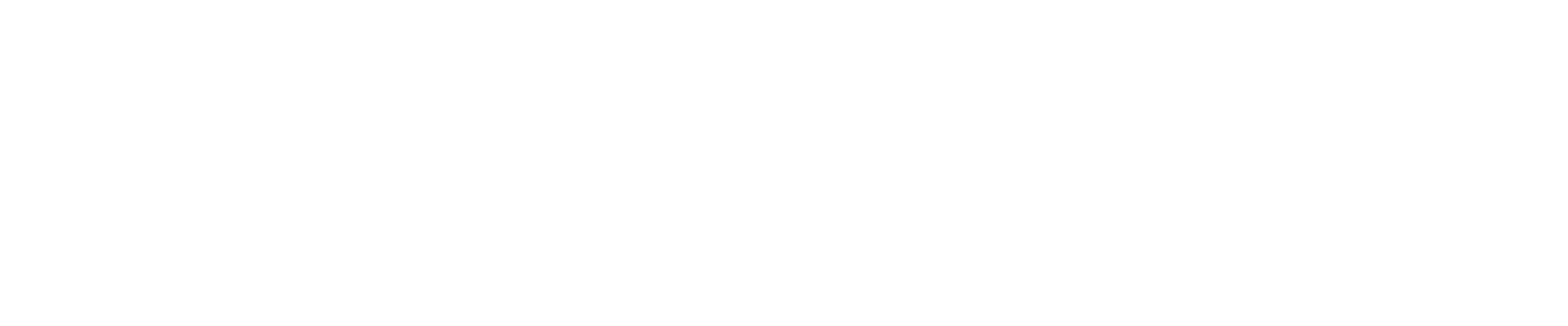 Proton_VPN_Logo white